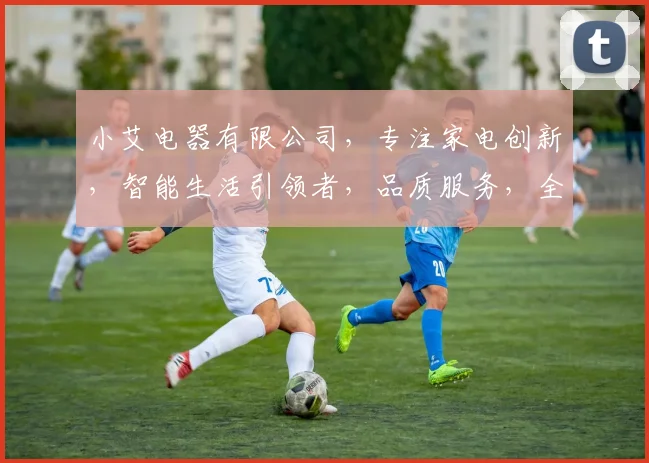 小艾电器有限公司，专注家电创新，智能生活引领者，品质服务，全国热销，值得信赖，三重保障。