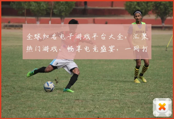 全球知名电子游戏平台大全，汇聚热门游戏，畅享电竞盛宴，一网打尽